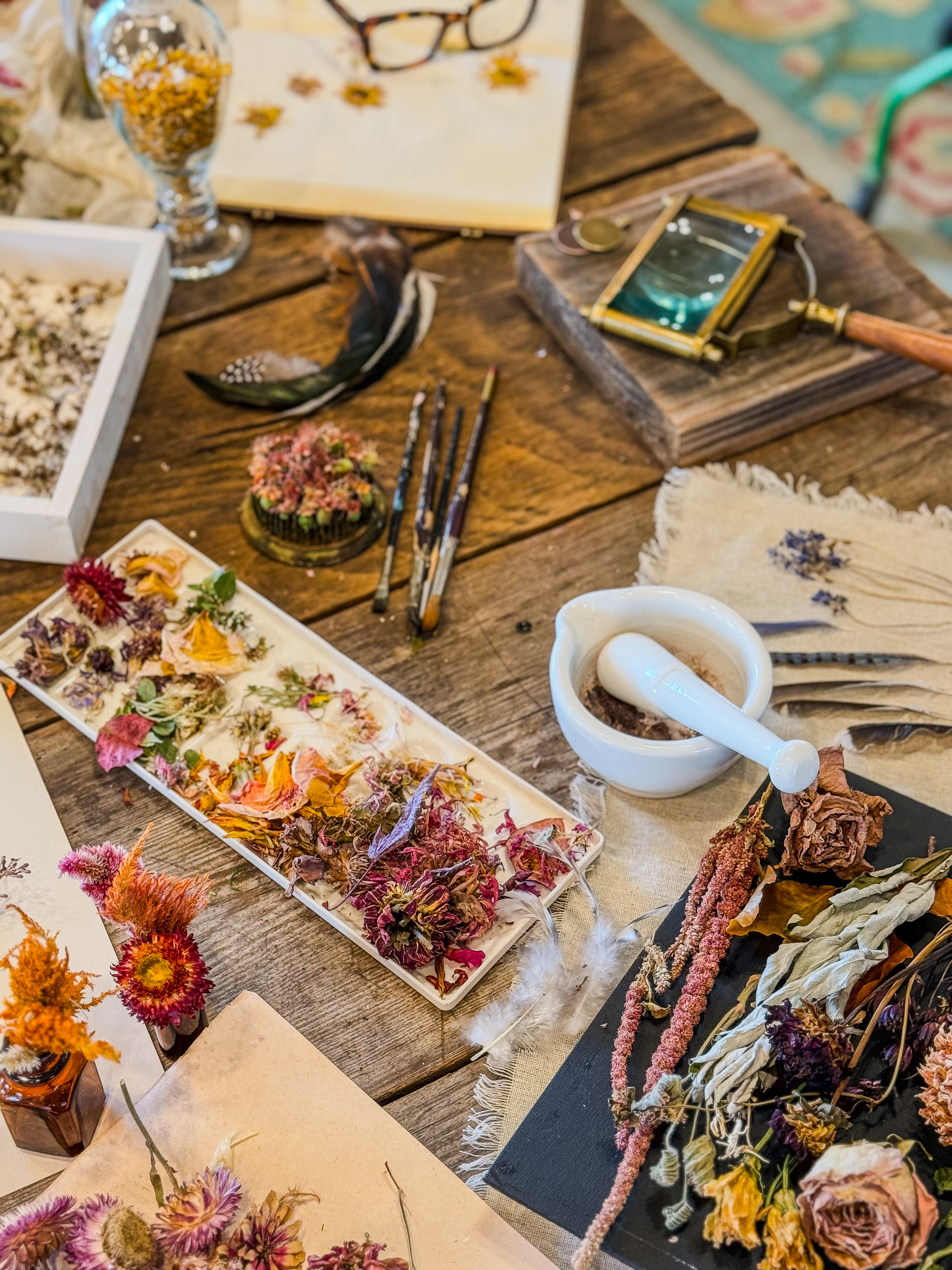 Dried botanical specimens laid out on a slate board — roses, strawflowers, clover, and more