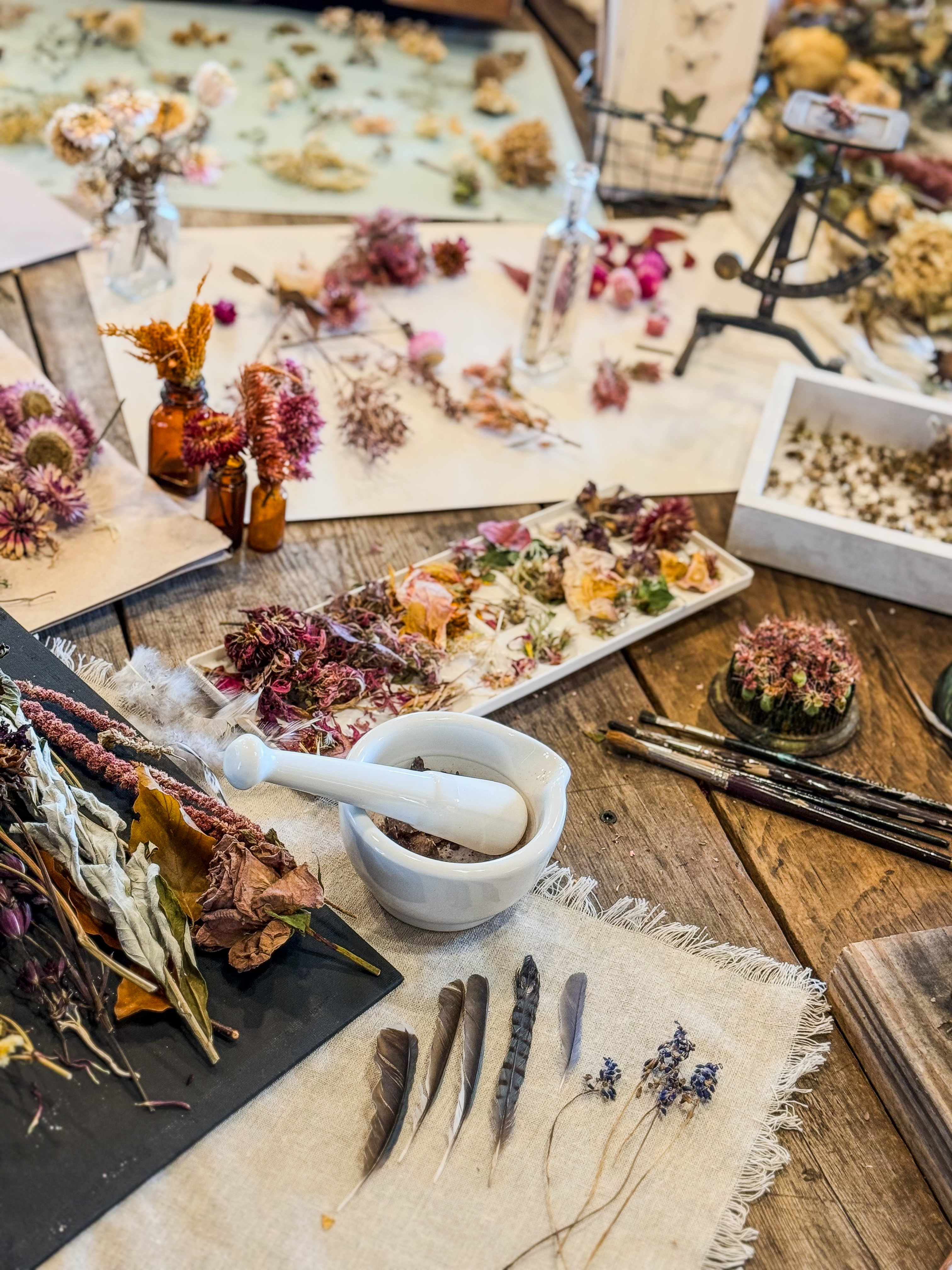 Mortar and pestle in the foreground of an apothecary workbench — amber bottle, dried specimens, brushes