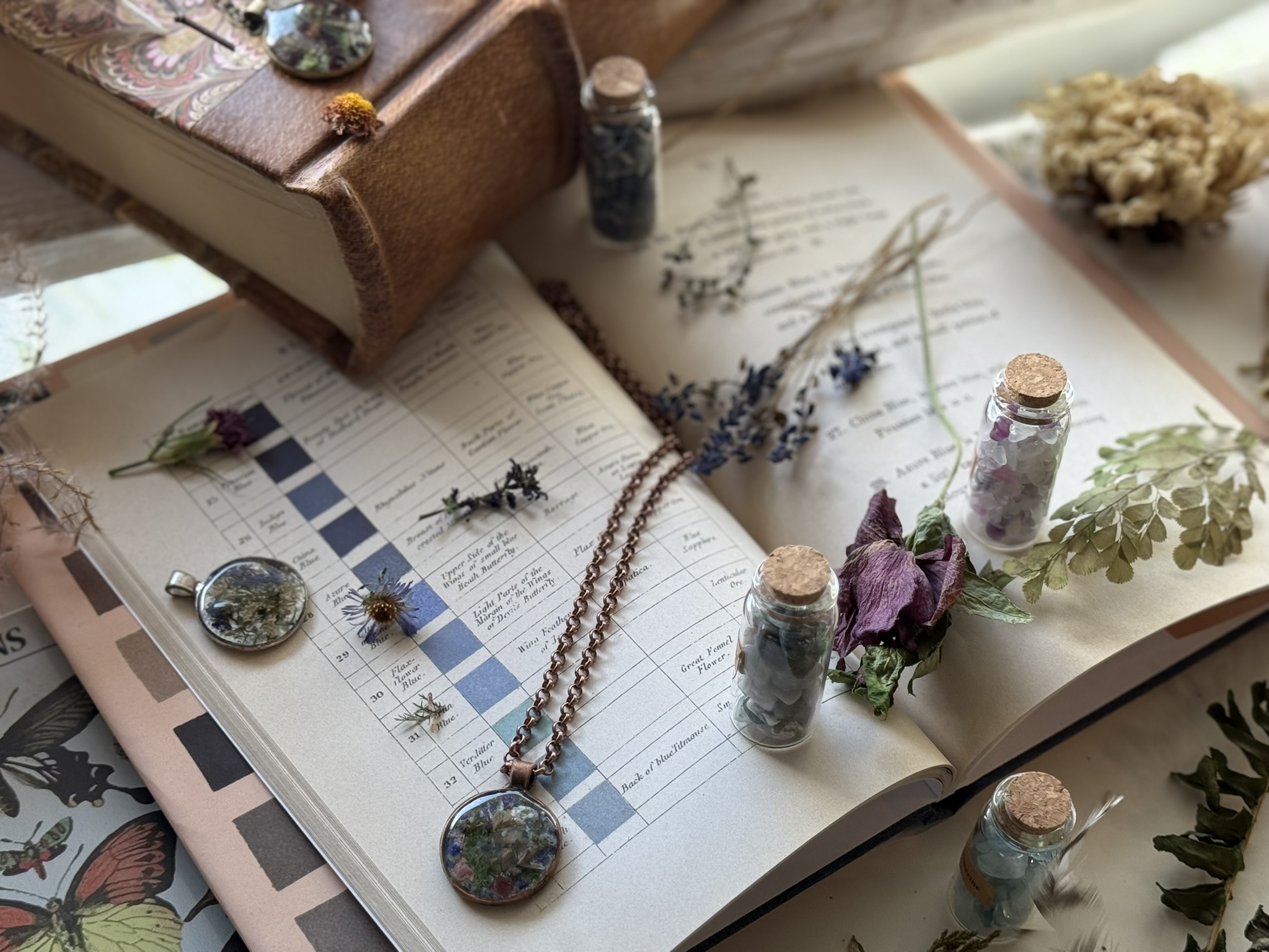 Botanical jewelry pieces resting on open reference books — a butterfly plate, color charts — the made thing and the knowledge that made it, together