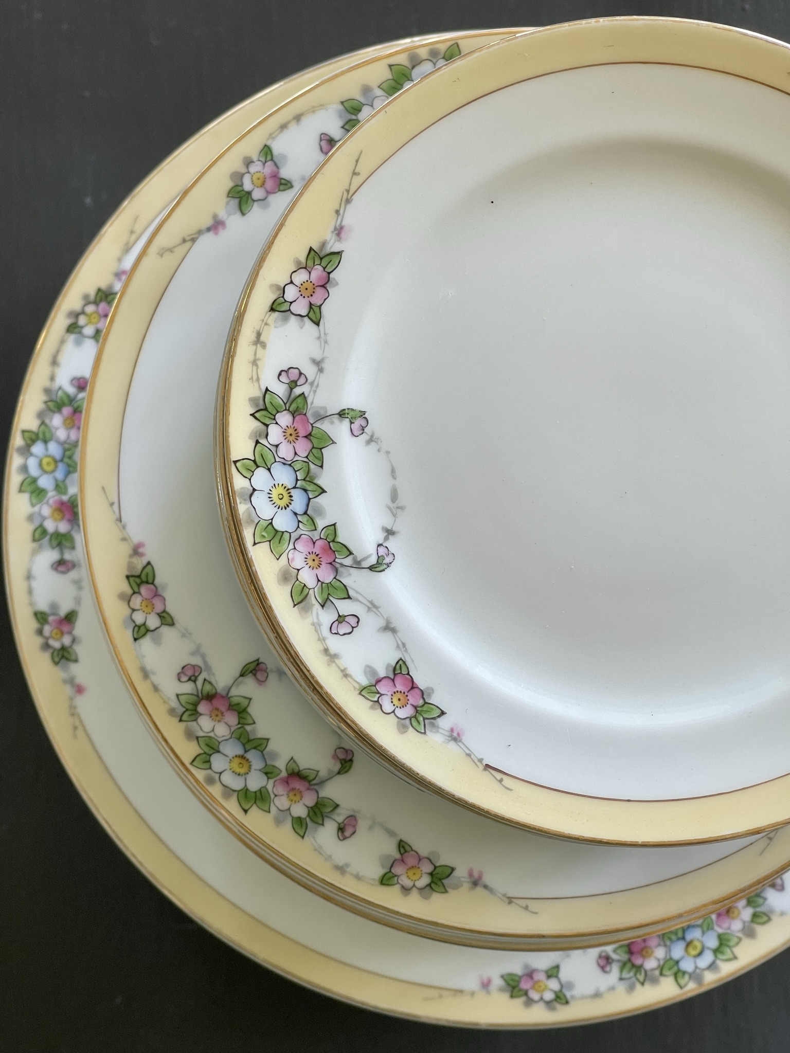 Apple Blossom pattern — delicate pink and blue blossoms trailing on gray twig vines across cream-yellow plates stacked in three sizes