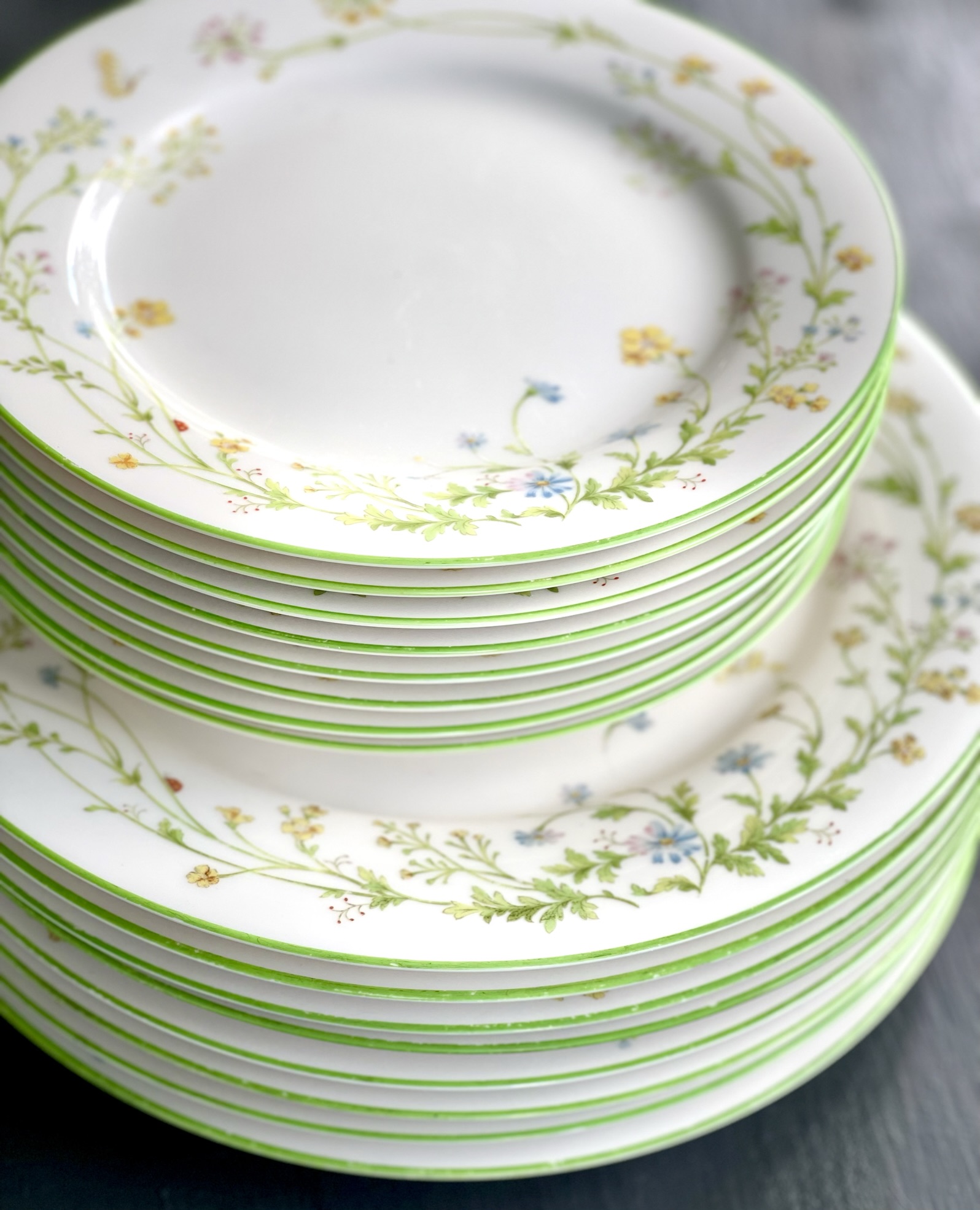 A pale-green-banded pattern with a delicate wildflower garland of yellow buttercups, blue forget-me-nots, and small pink blossoms on white plates