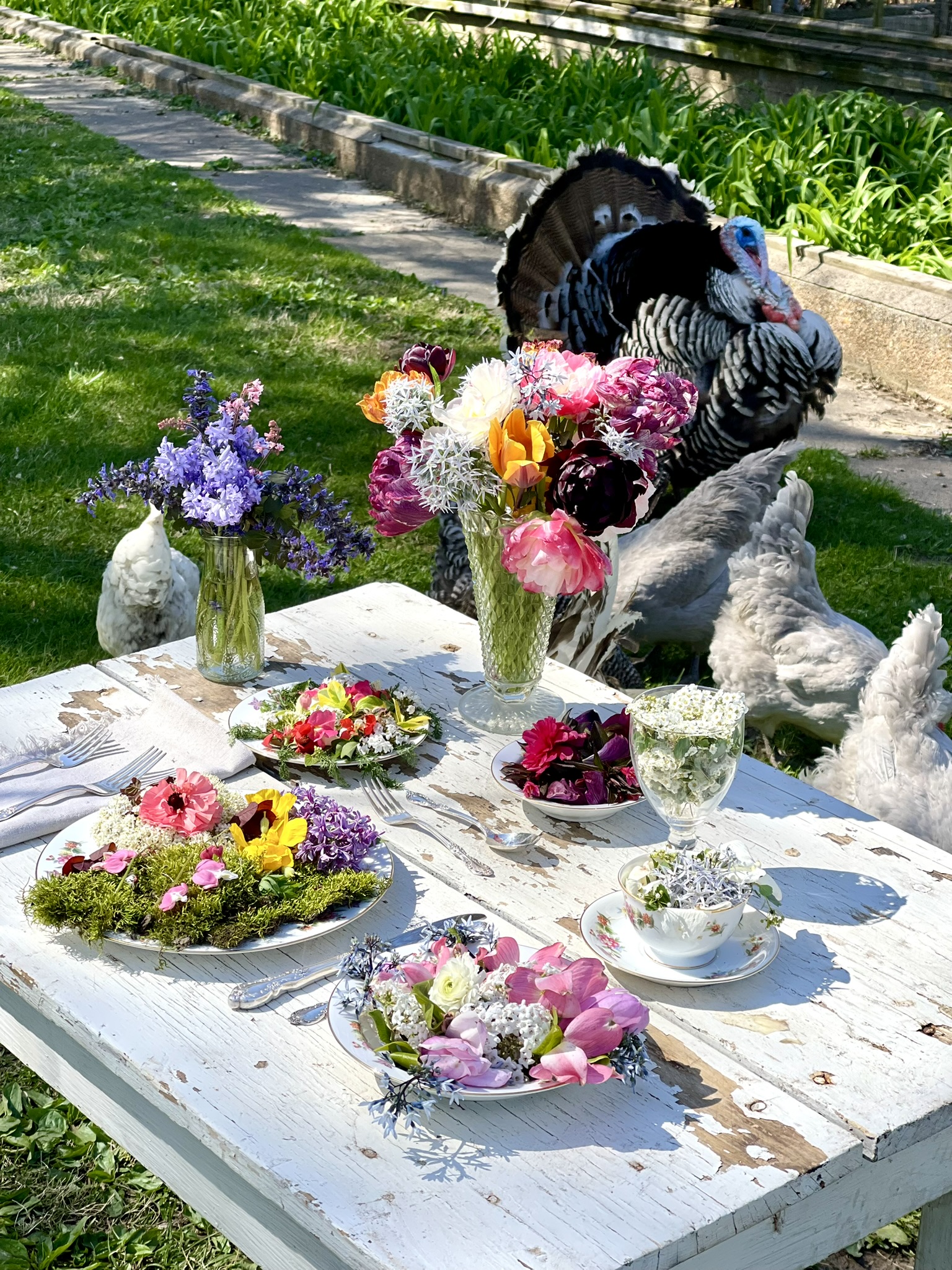 Turkey and geese together at the table — the whole flock arrived at once