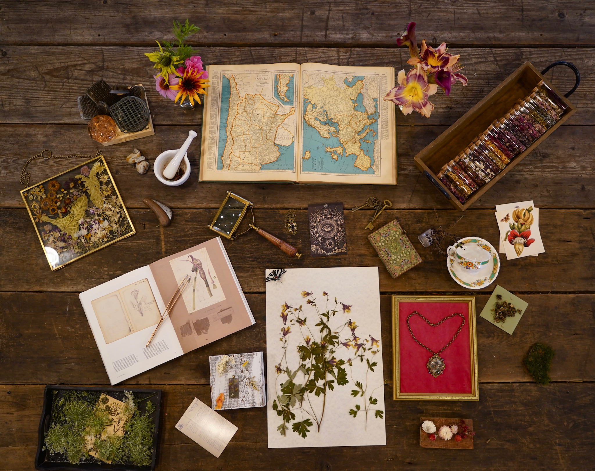 Floral Alchemy — atlas, pressed botanicals, and handcrafted jewelry by Luli
