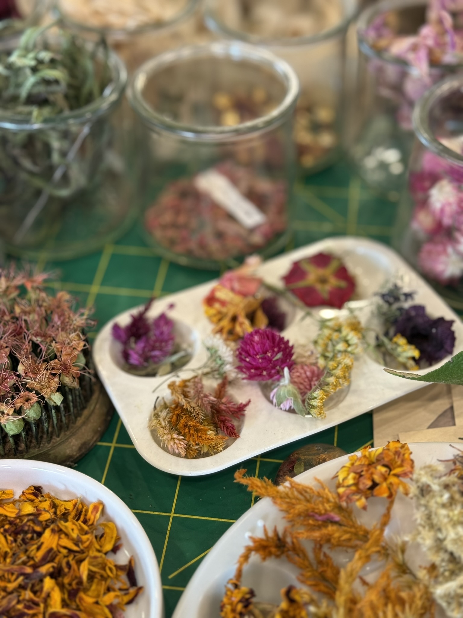 The dye workshop — a ceramic palette with dried specimens sorted by color, glass jars of marigold petals and gomphrena, white bowls of dried material, the full range of a season's harvest sorted into color families