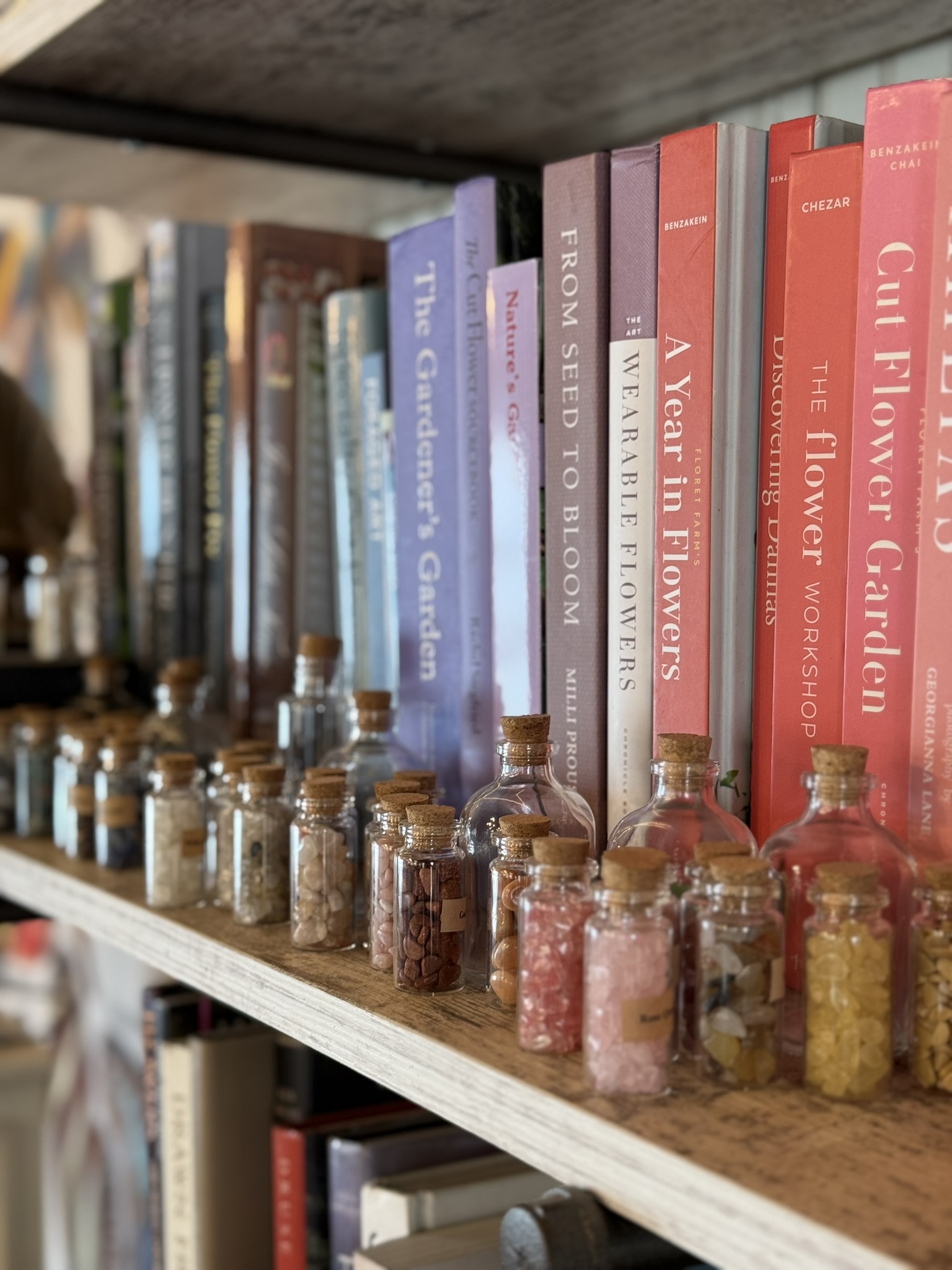 Close-up of the studio shelf — botanical books with rows of seed and specimen vials in front