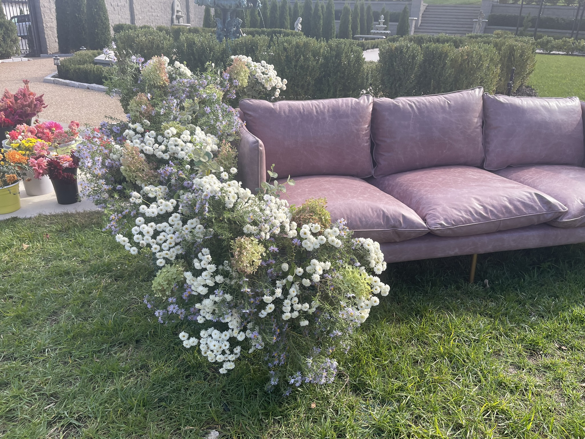 The mauve velvet sofa outdoors — white aster and mum armature being built, mobile studio visible in background