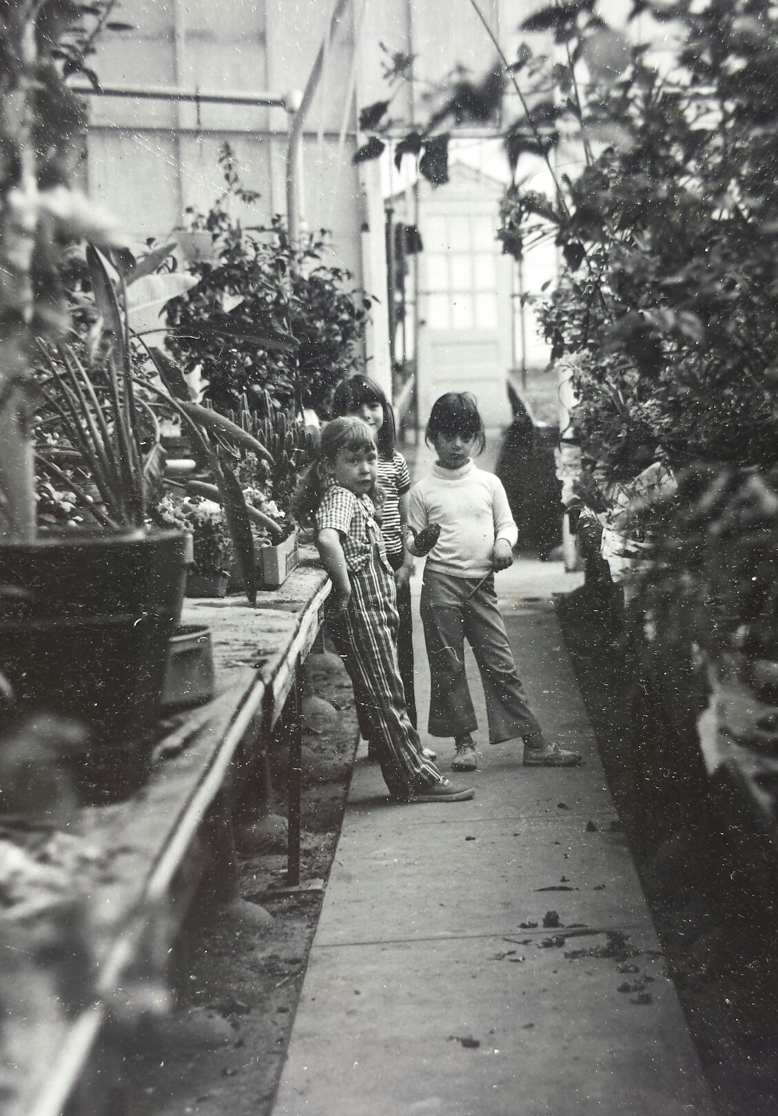 The greenhouse in the 1970s — children among the tropical plants, the building still in its original use
