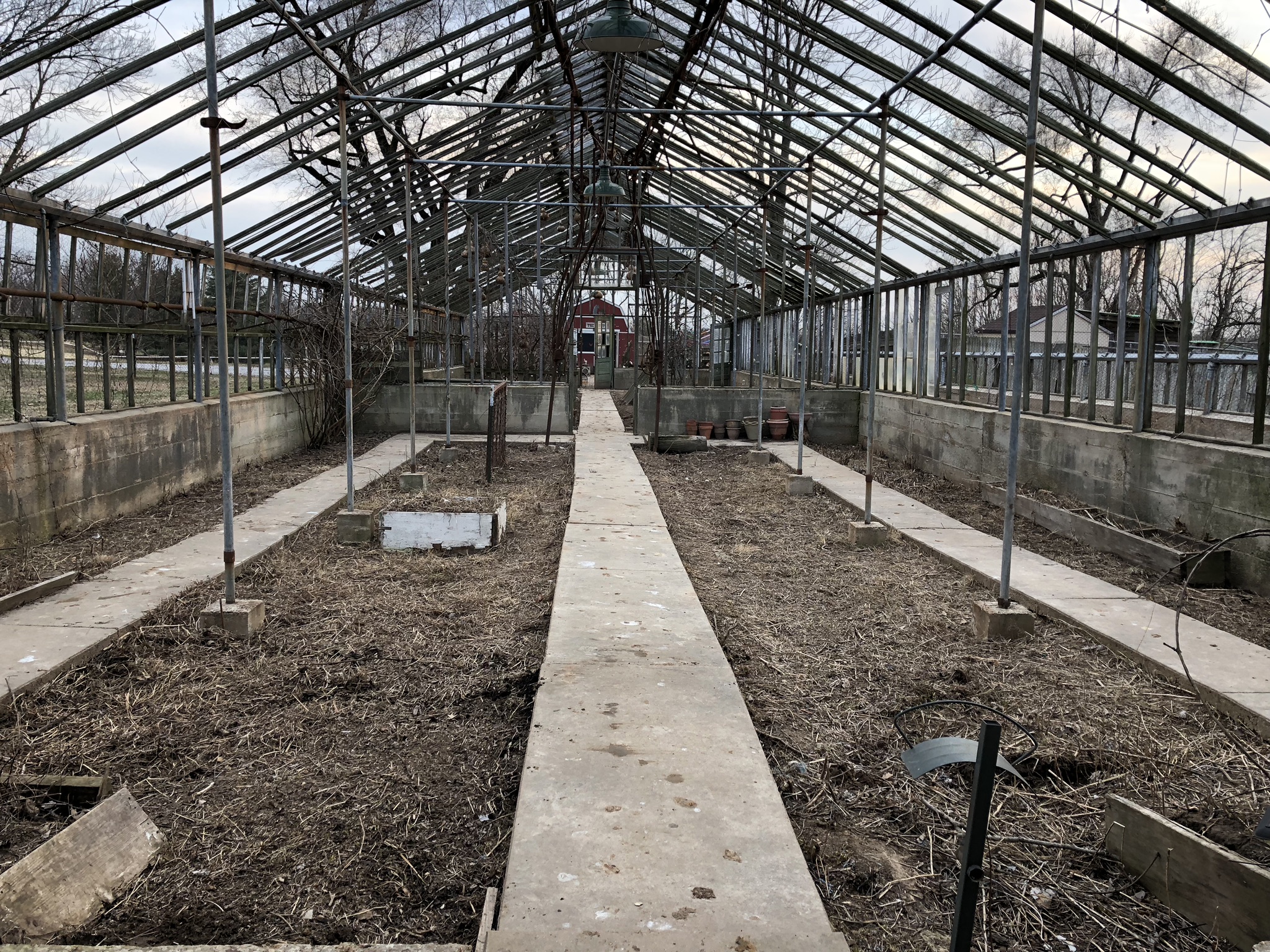 The greenhouse fully glazed — the long interior view restored, the structure whole again
