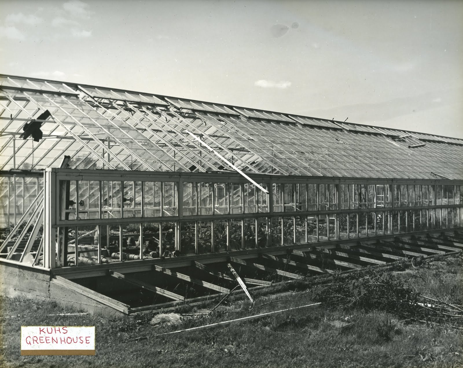 The greenhouse after the 1949 tornado — the full length still standing, glass lost from the west end, the structure intact