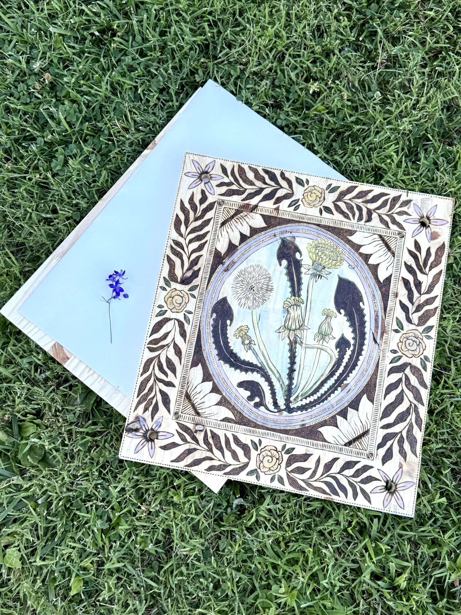 The press open on grass showing the blue blotter paper interior with a single pressed periwinkle flower — the ornate burned cover visible alongside