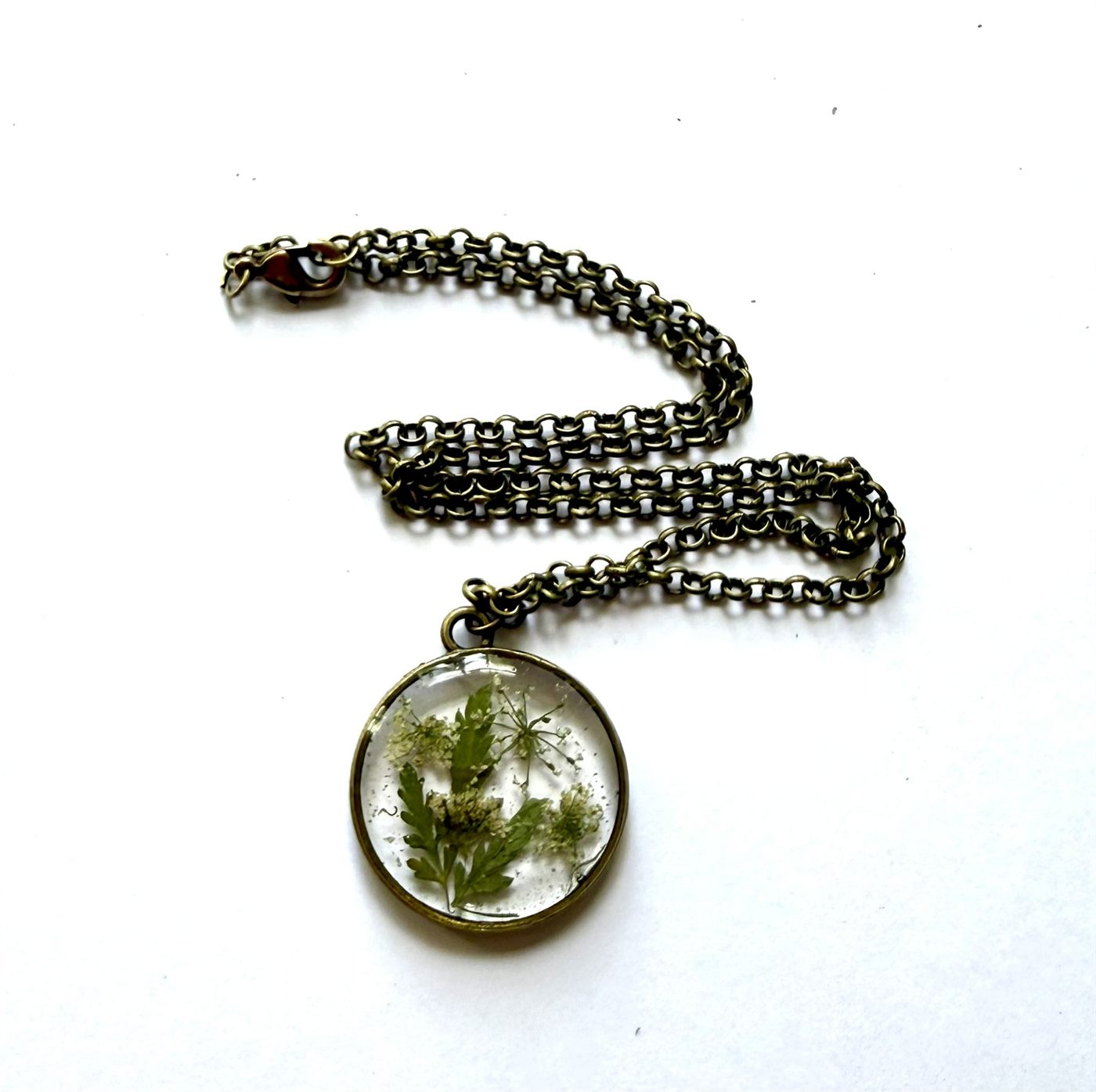 The Hemlock Window I &mdash; Floral Alchemy
