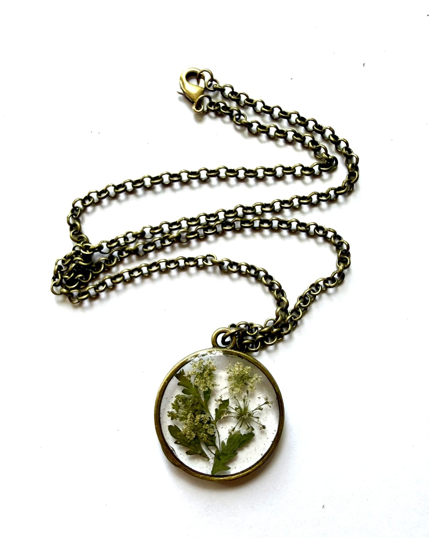The Hemlock Window II &mdash; Floral Alchemy