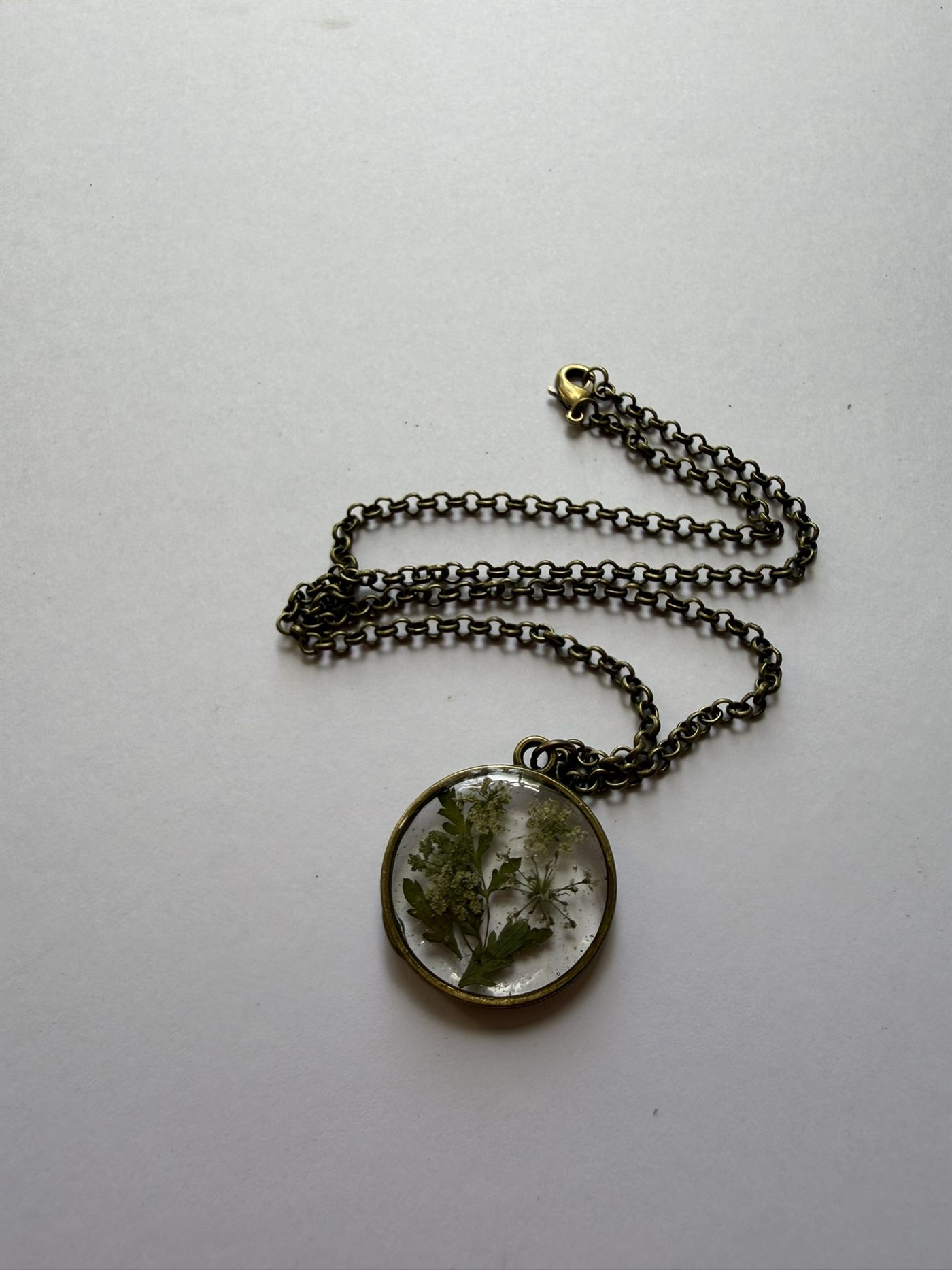 The Hemlock Window III &mdash; Floral Alchemy