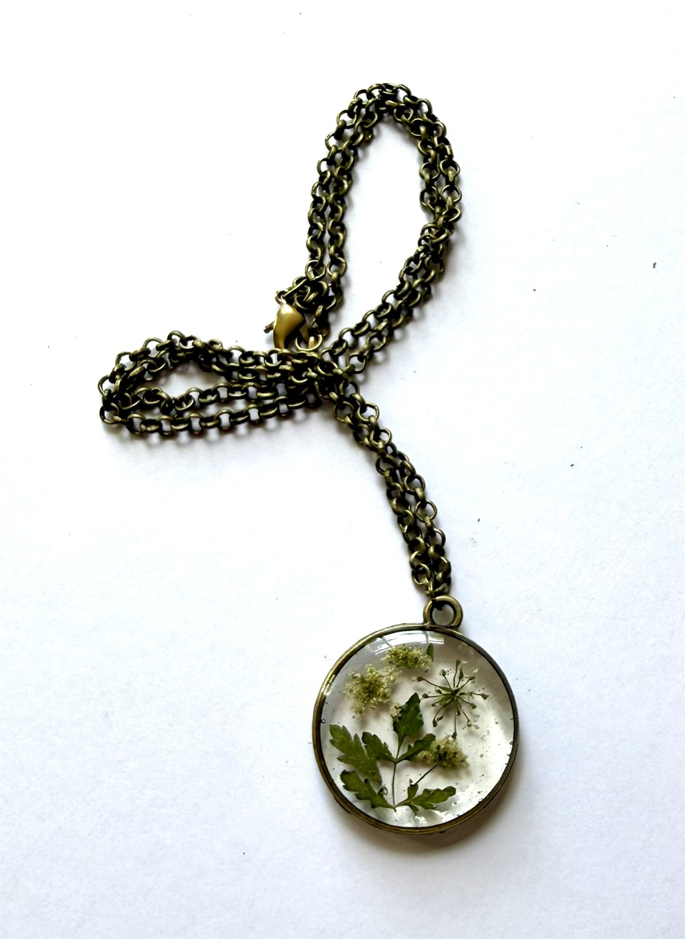 The Hemlock Window IV &mdash; Floral Alchemy