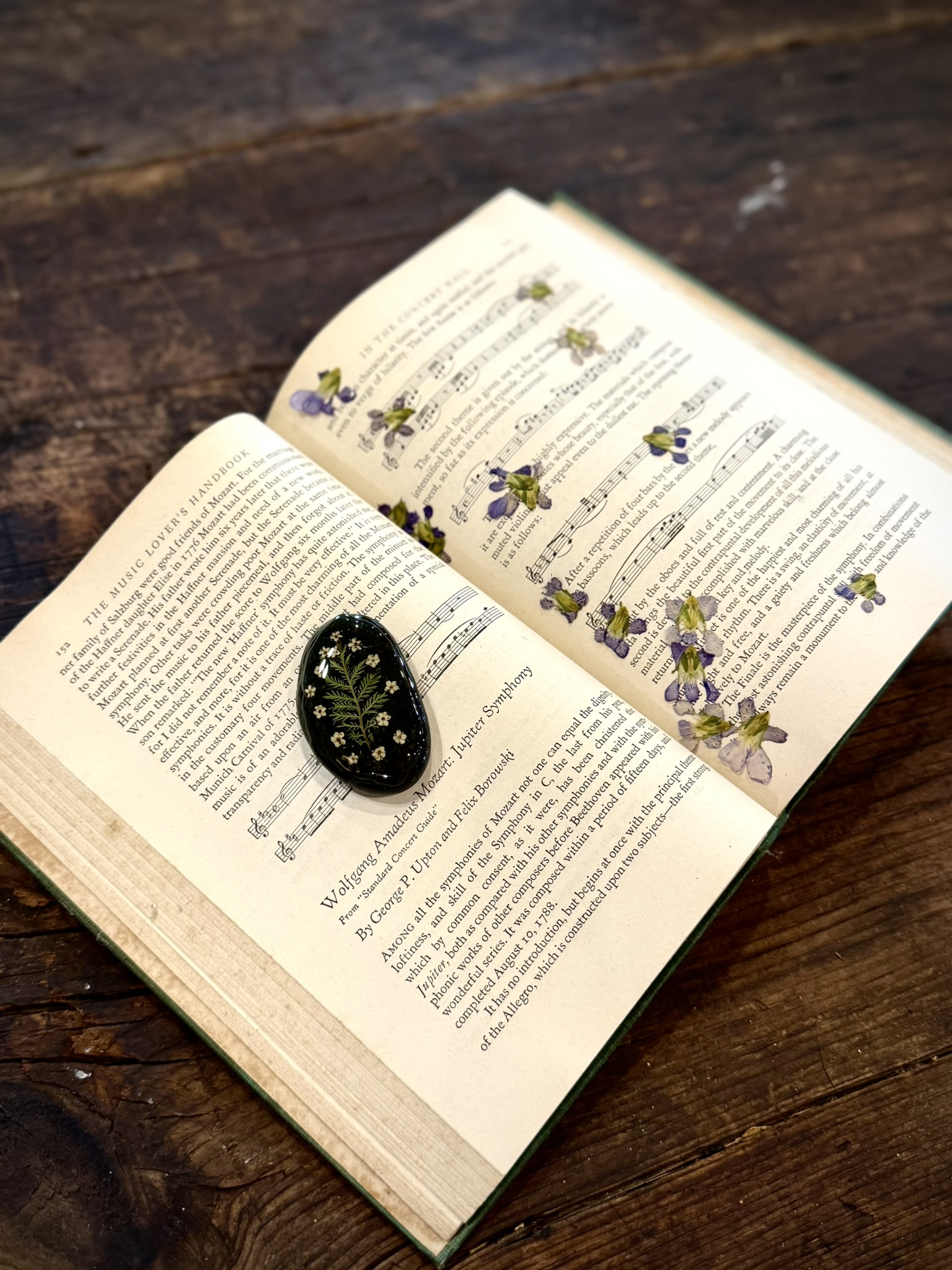 A resin ring with pressed fern and white flowers resting open on The Music Lover's Handbook — loose pressed violets tucked between the pages, old dark wood beneath