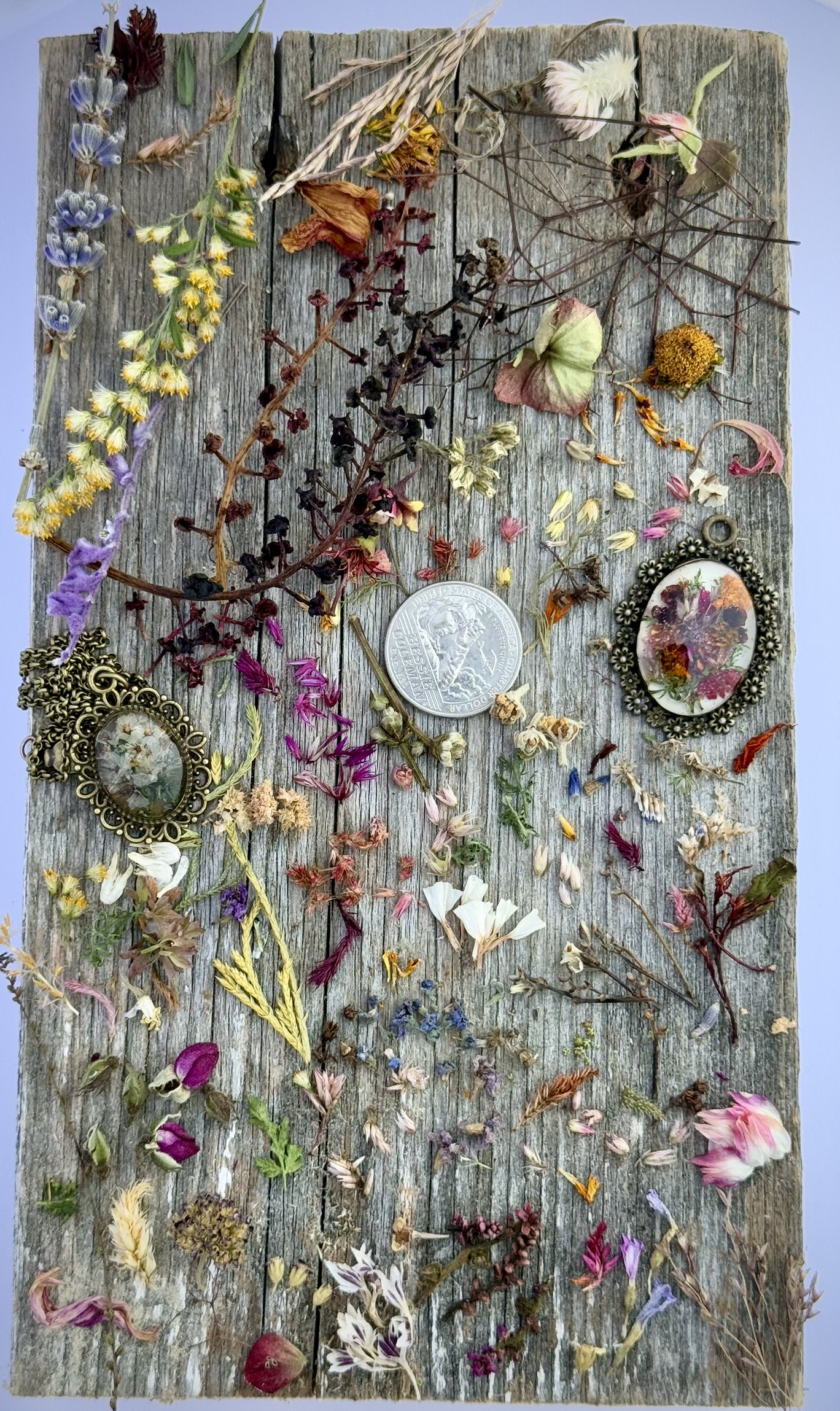 Dozens of pressed botanical specimens scattered across barn wood — lavender, goldenrod, ferns, celosia, forget-me-nots — with two finished bronze pendants nested among them and a quarter for scale