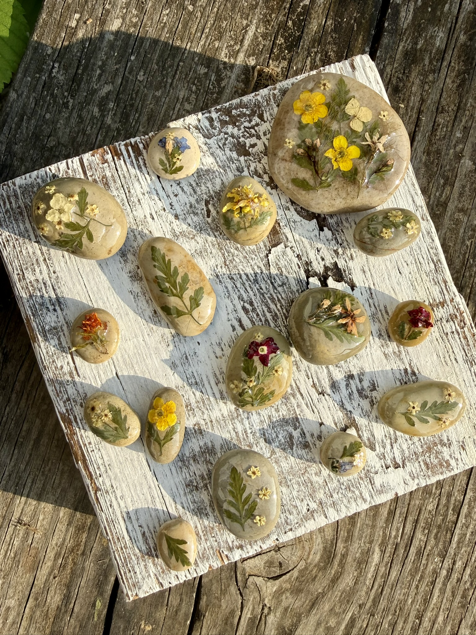 Pale river stones with pressed flowers set in resin on a whitewashed board in sunlight — yellow buttercups, ferns, forget-me-nots, dark burgundy flowers, each stone its own small garden