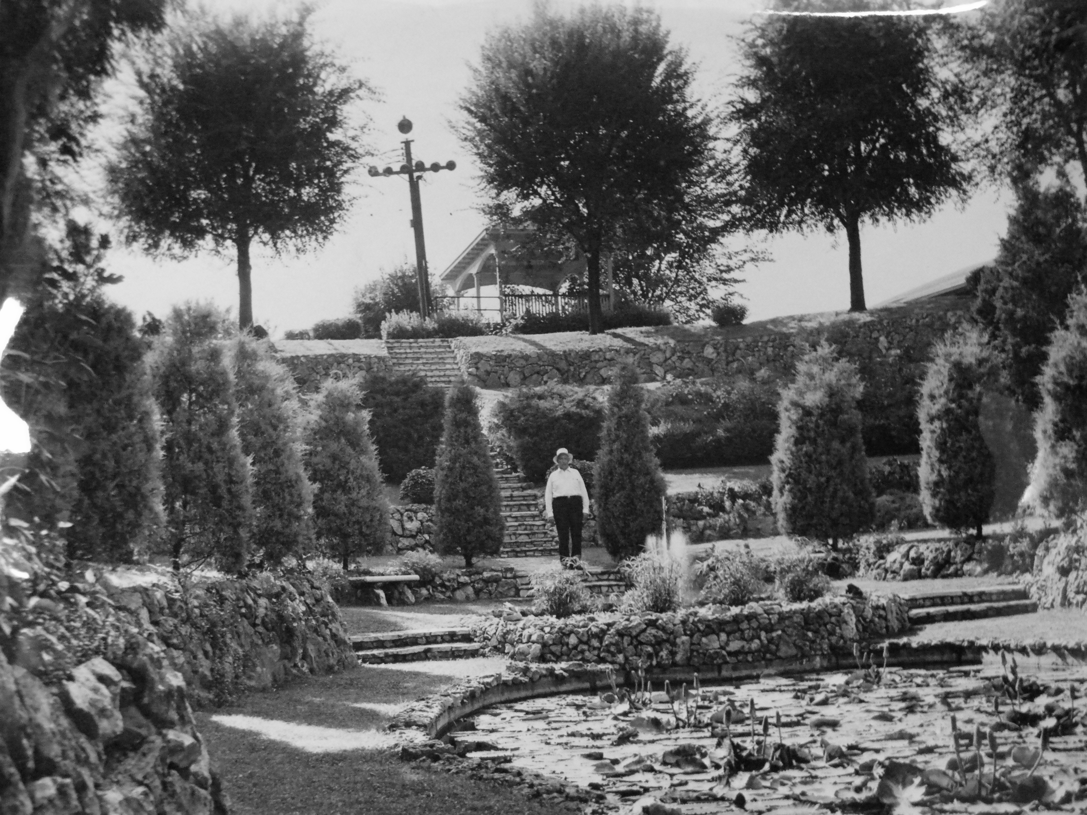 The man who built the Sunken Garden, standing on the stone stairs above the lily pond — cedar trees on both sides, water lilies floating in the foreground