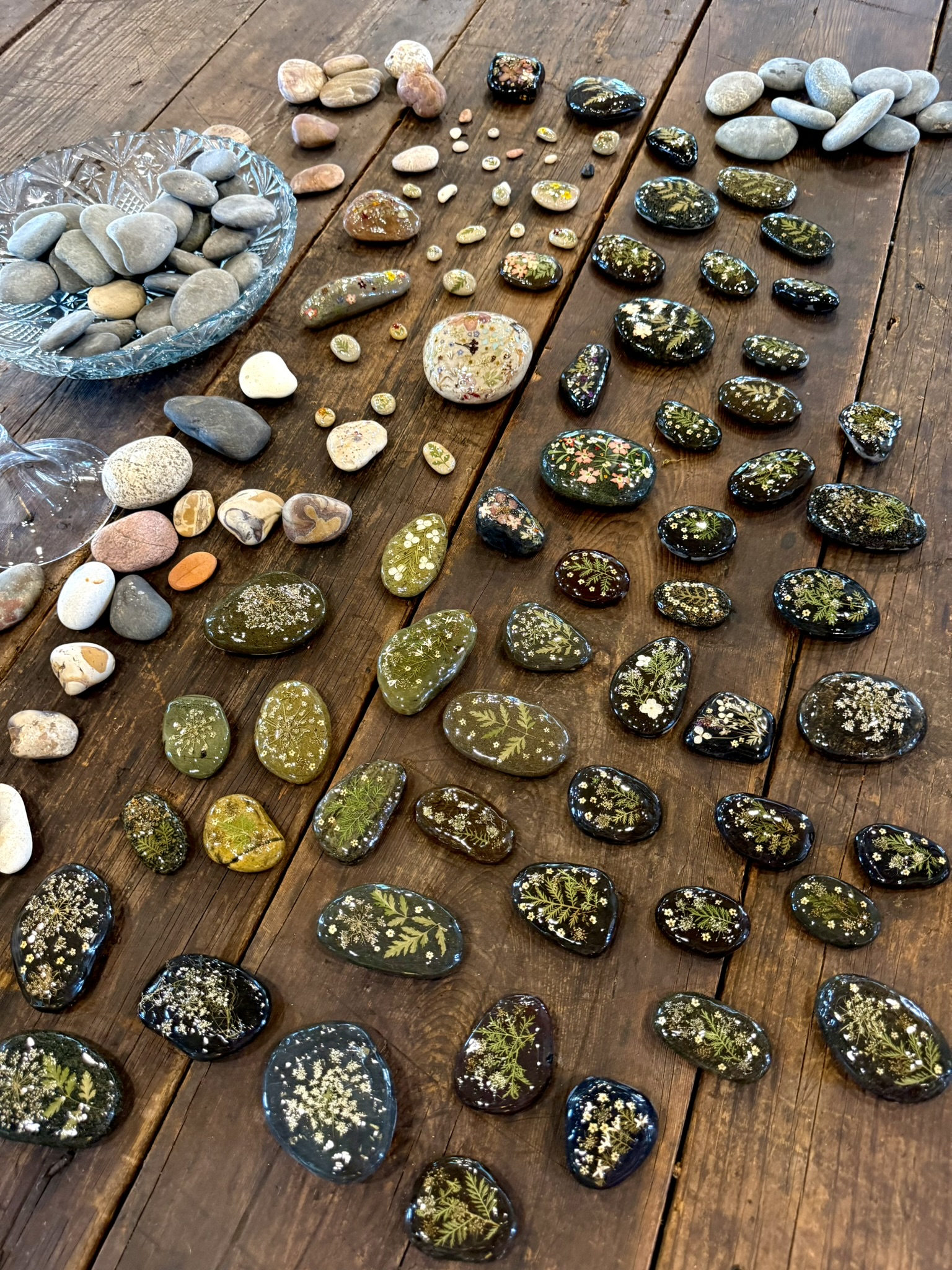 The full collection laid out — natural stones in crystal bowls at upper left, the botanical pieces spread across the wooden surface, olive-toned and black-lacquered, each one different