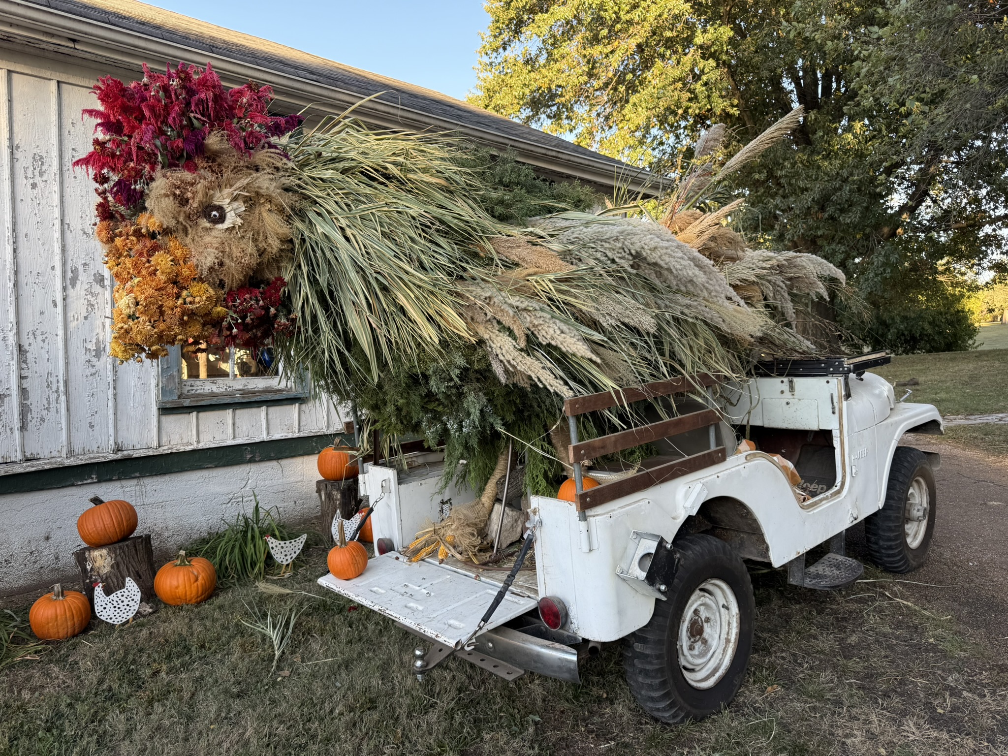 A giant rooster assembled from dried celosia, mums, grasses, and botanicals, mounted against the white barn wall with the old Jeep as his body, surrounded by pumpkins and ceramic hens
