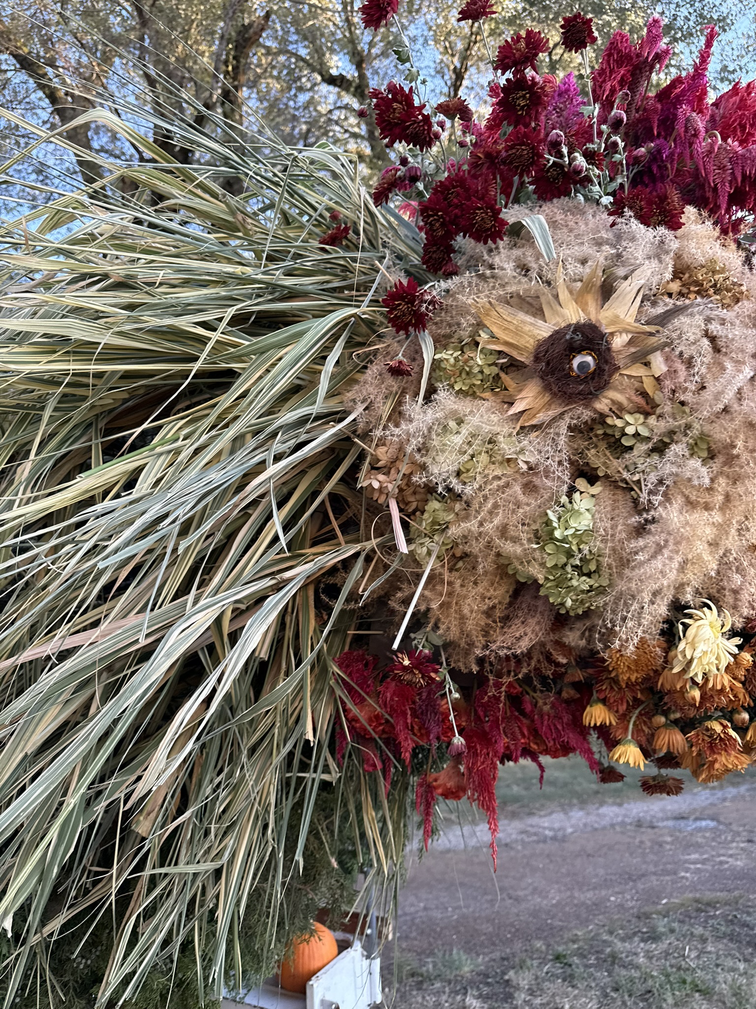 The rooster's head in profile against open sky — celosia comb blazing red, the grass feathers sweeping back in long arcs