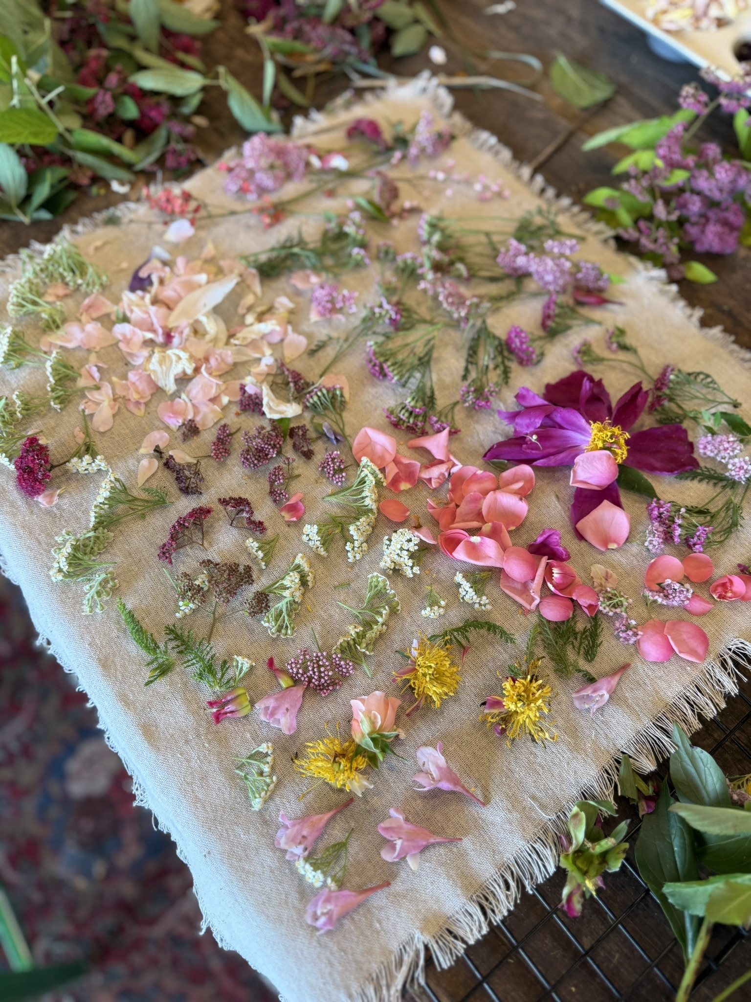 Spring flowers laid out to dry on linen — Floral Alchemy
