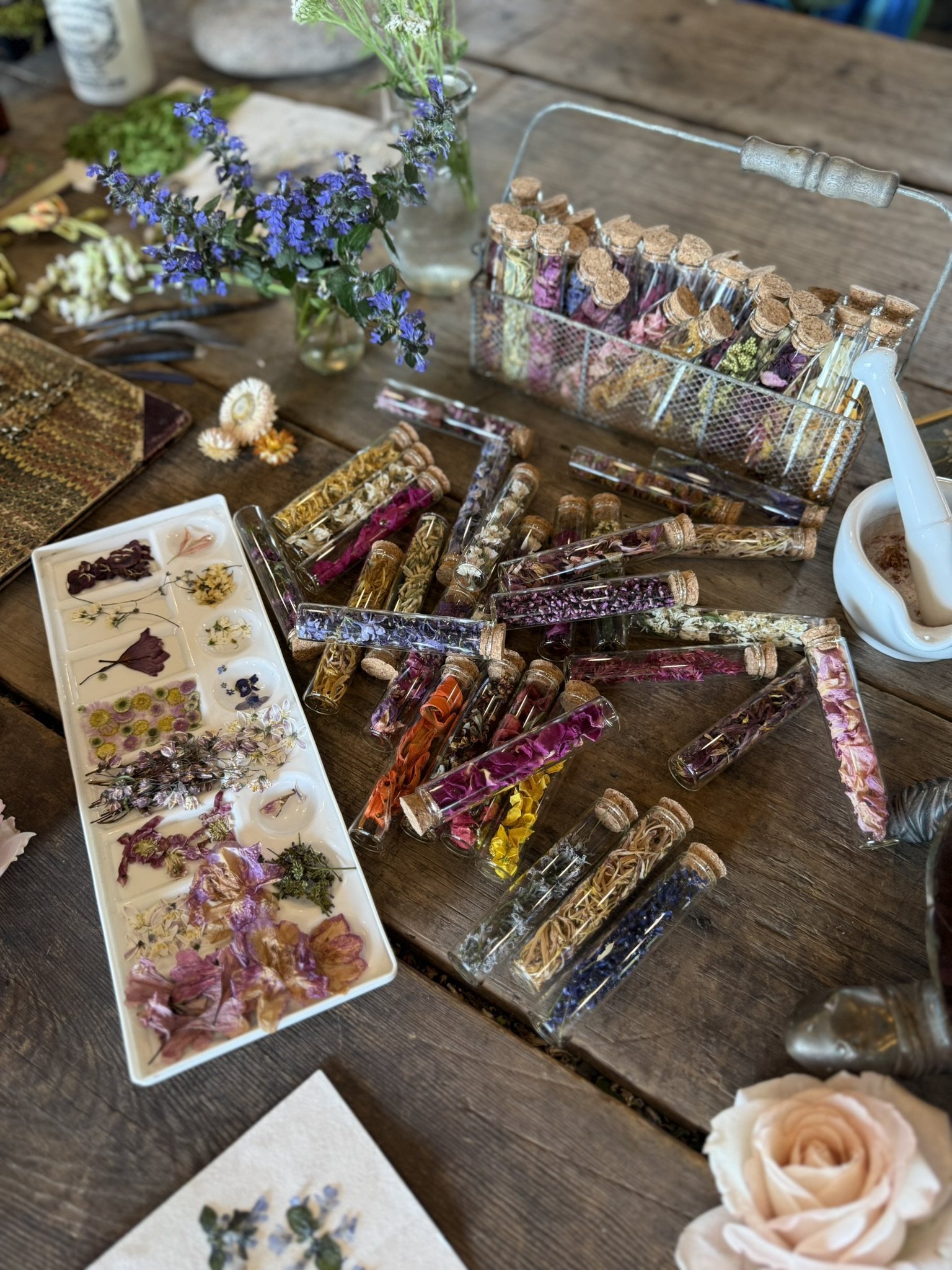 Corked glass vials of sorted dried petals on the studio table — Floral Alchemy