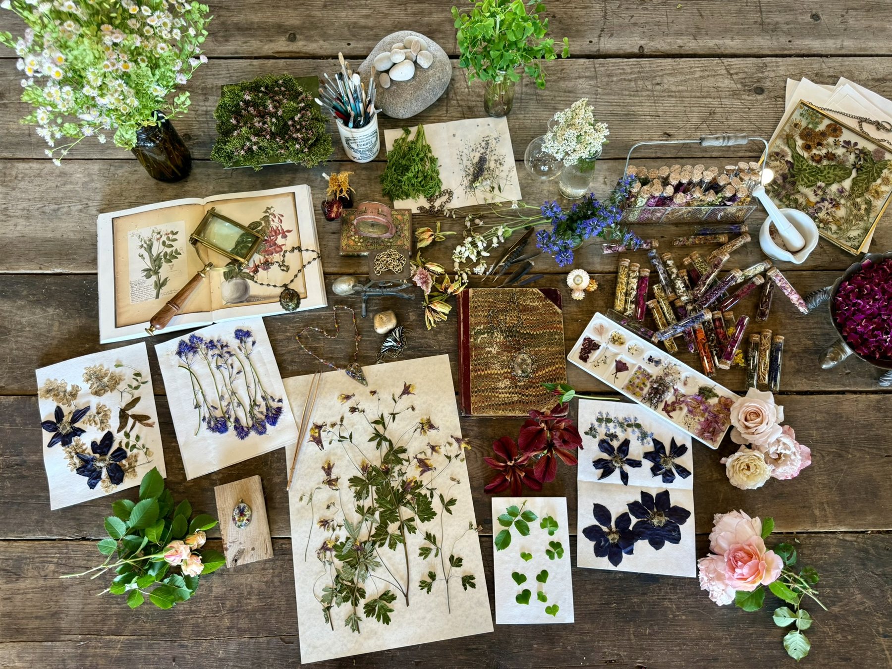 The full working table — pressed specimens, vials, tools, fresh flowers — Floral Alchemy