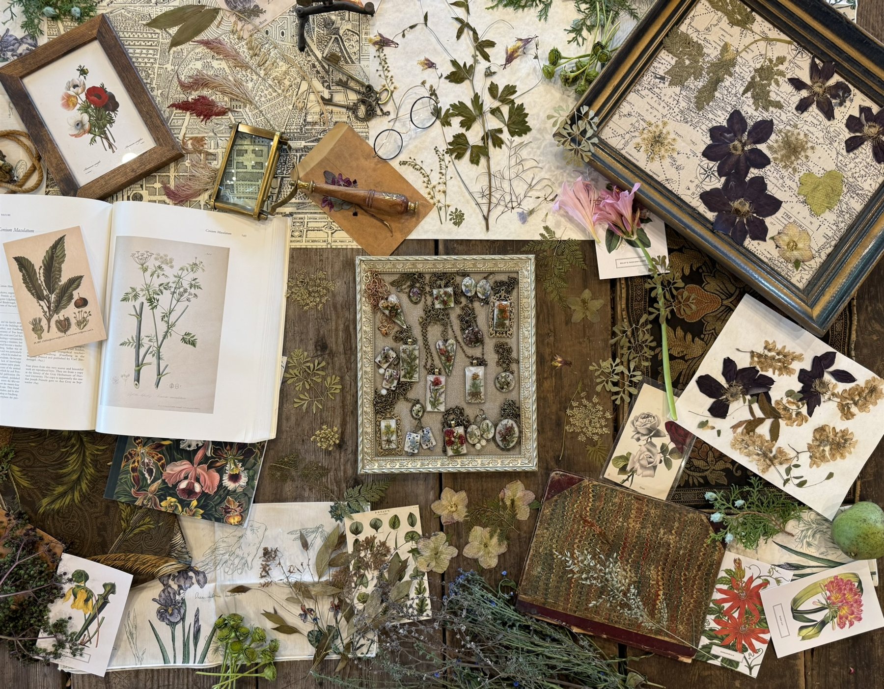 The Royal Academy — styled cabinet of curiosities with jewelry, botanical specimens, old books and maps — Floral Alchemy