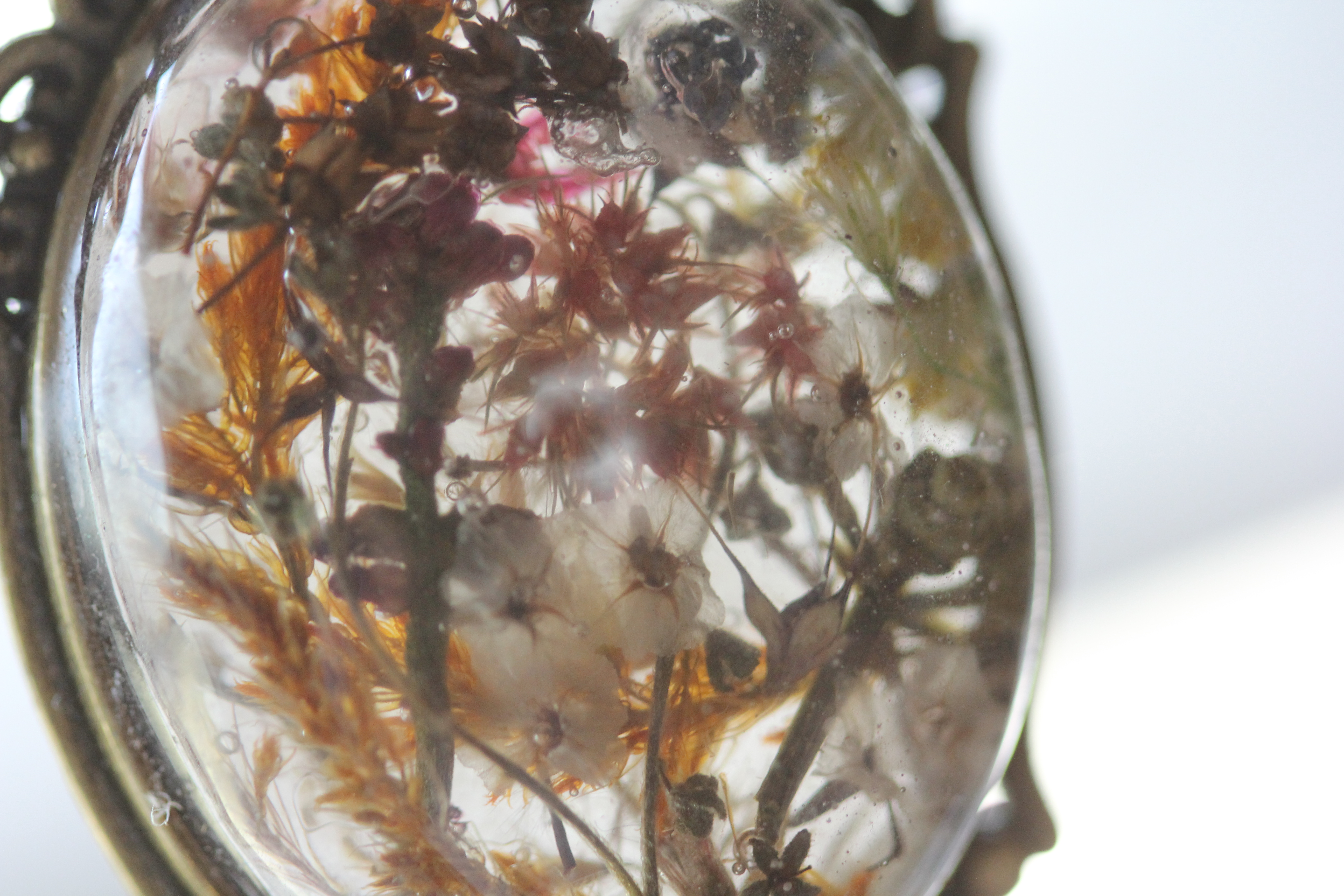 Specimen interior, extreme macro