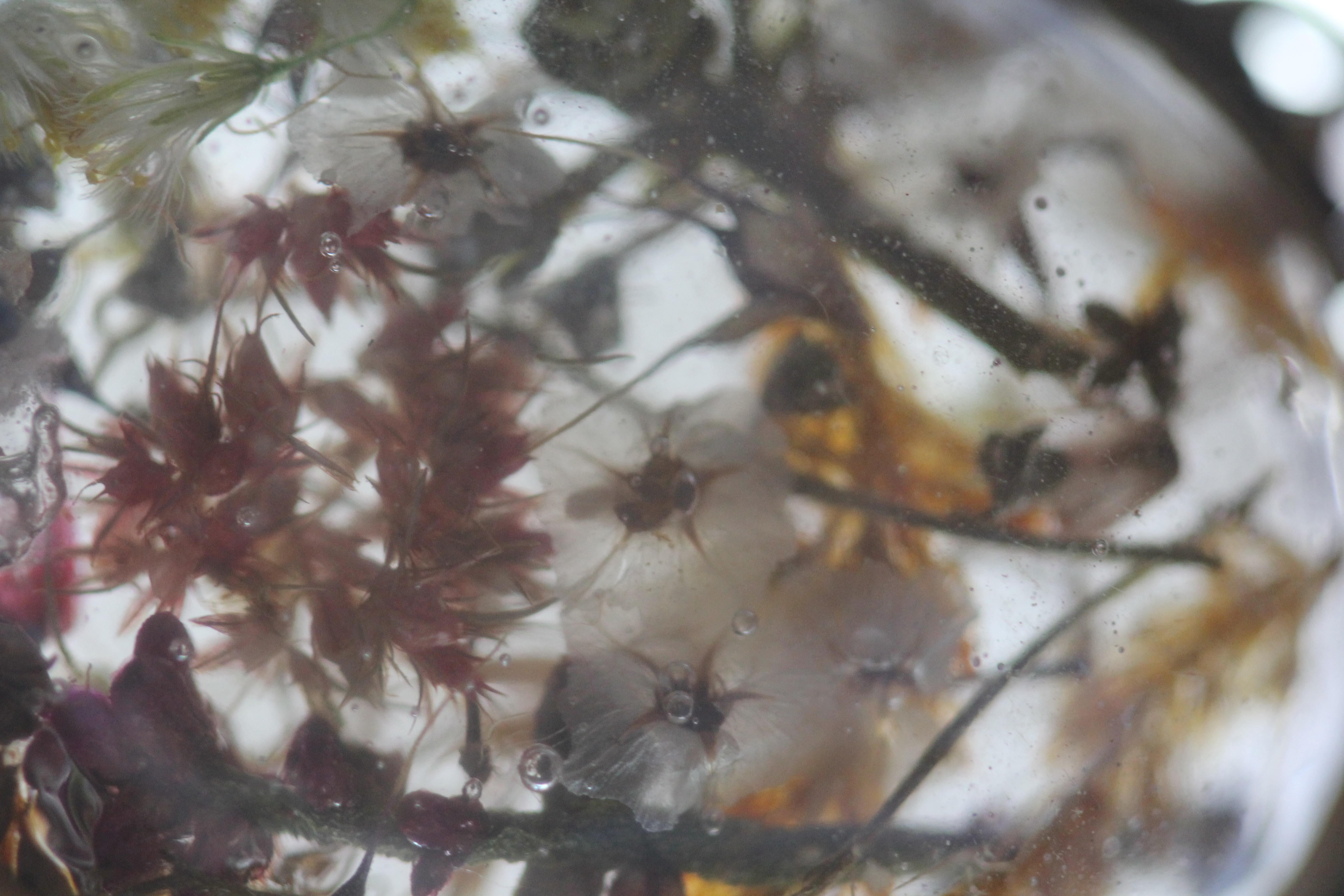 Specimen edge detail