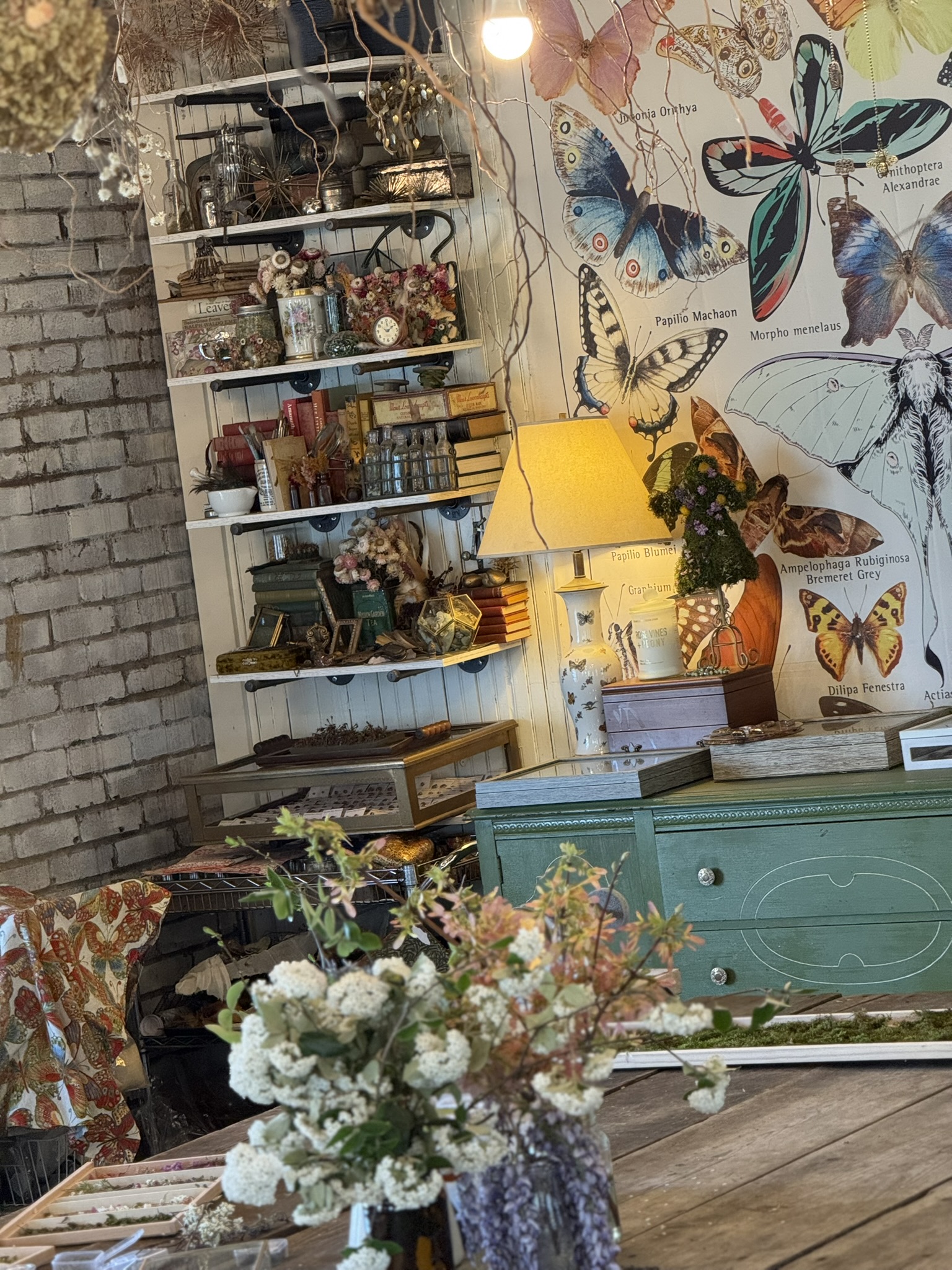 The butterfly wall and archive