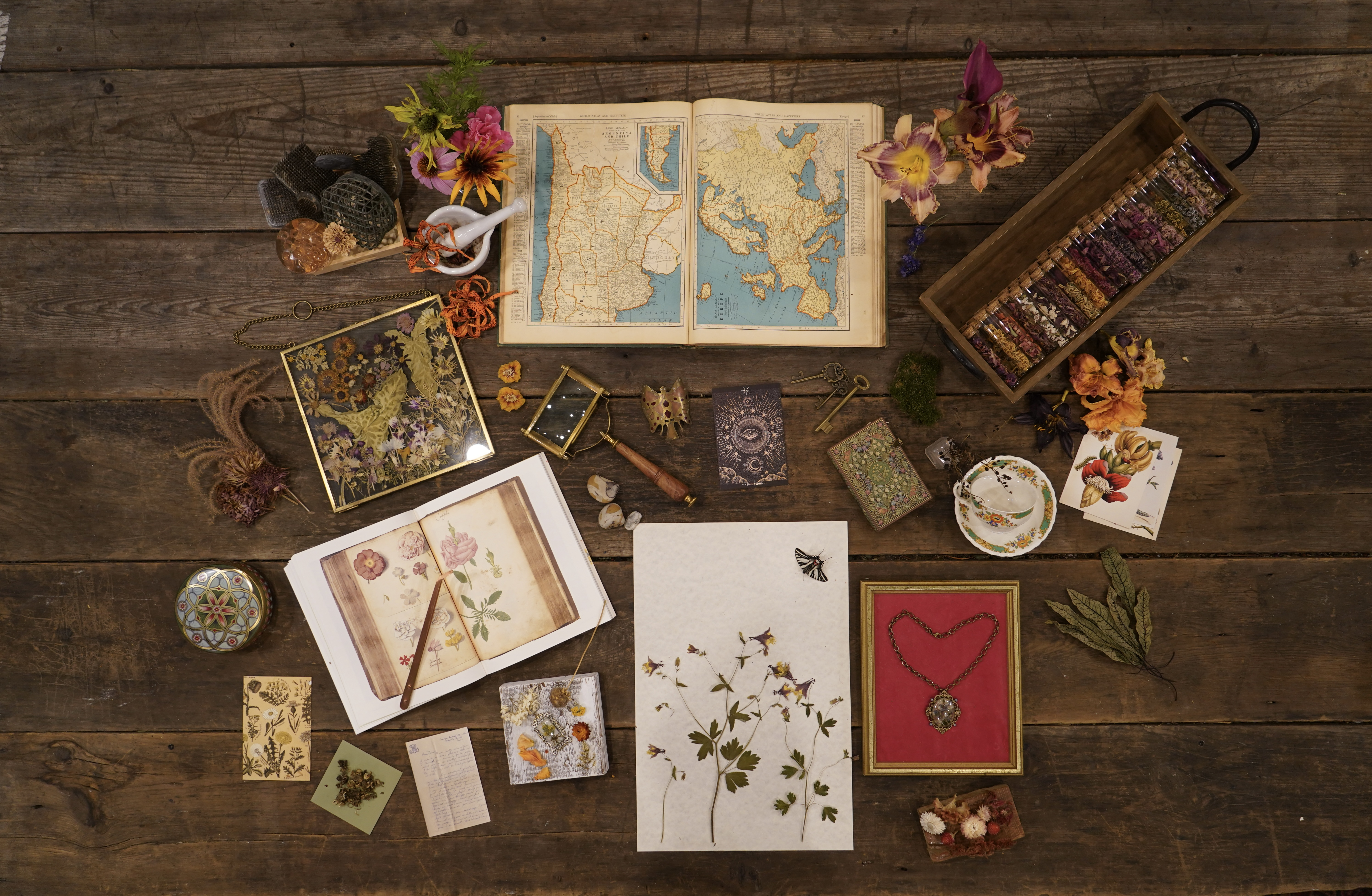 A worn wooden table scattered with maps, pressed flowers, botanical books, vials, keys, and curiosities