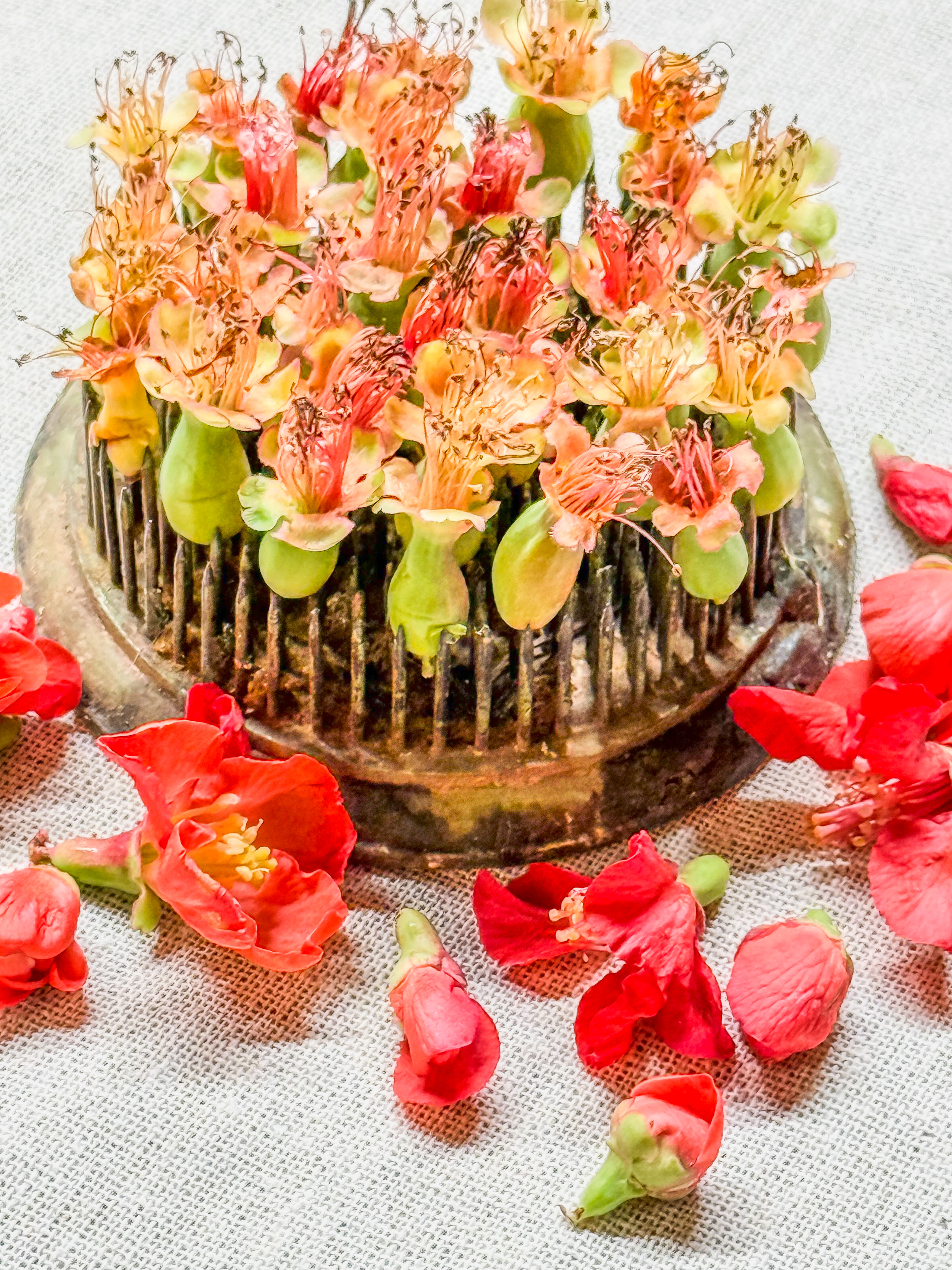 Quince hearts arranged on floral frog