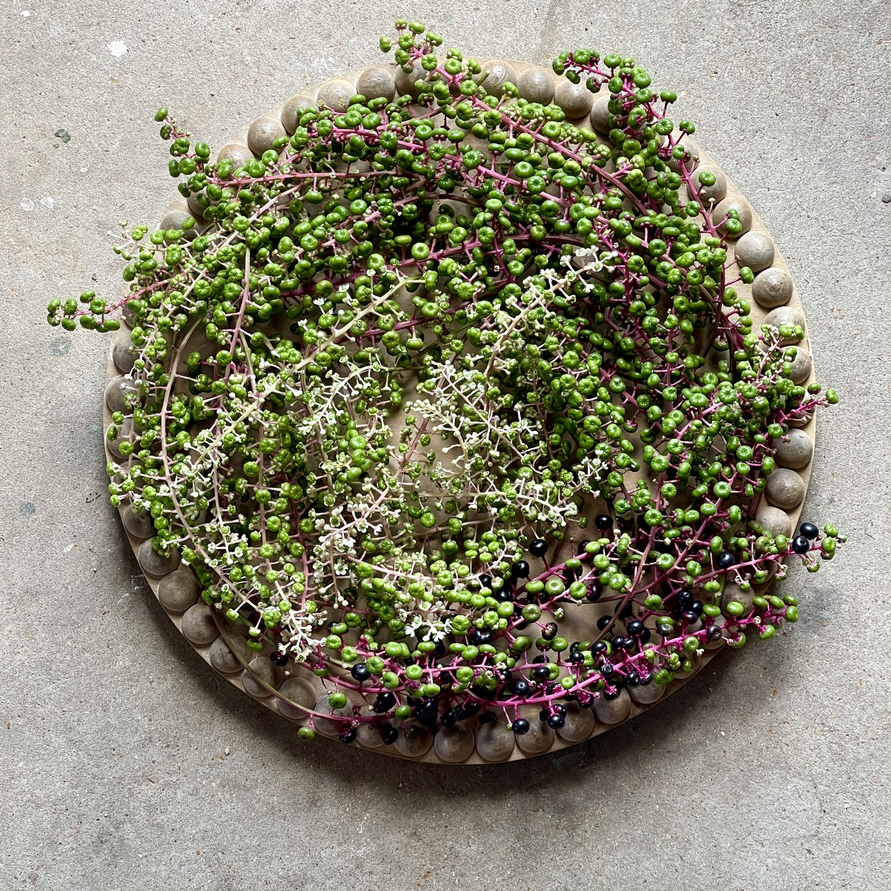 Pokeweed — green berry clusters and magenta stems arranged on wooden tray